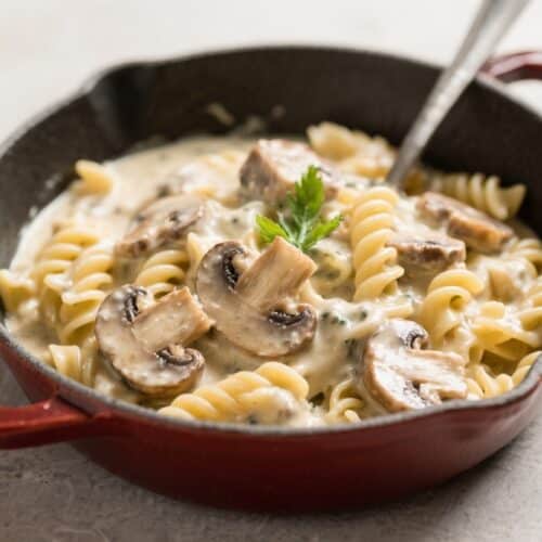One Pot Creamy Mushroom Pasta